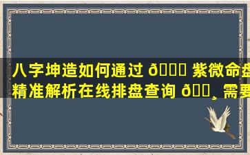 八字坤造如何通过 🐘 紫微命盘精准解析在线排盘查询 🕸 需要注意什么